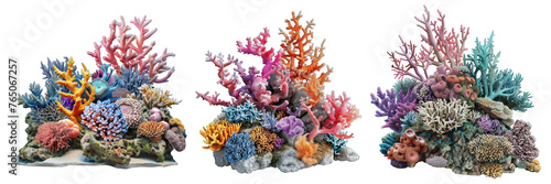 Collection of sea corals on a transparent or white background.