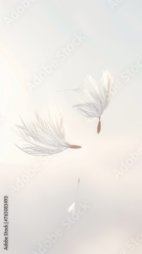 Dandelion feather flaying on the wind