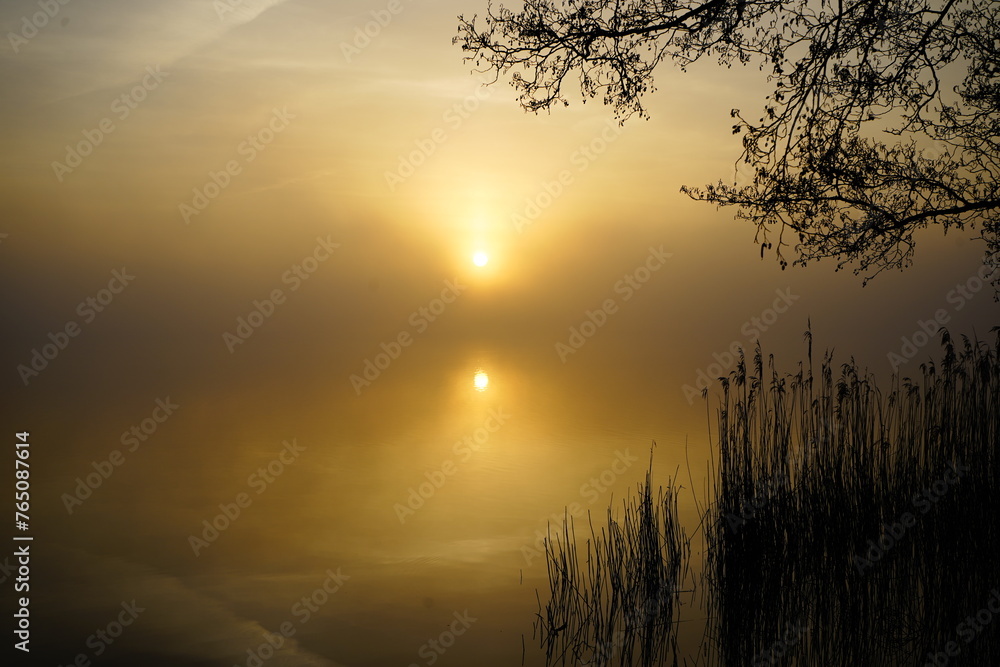 Fototapeta premium Sonnenaufgang am Bornhorster See in Oldenburg, Deutschland.