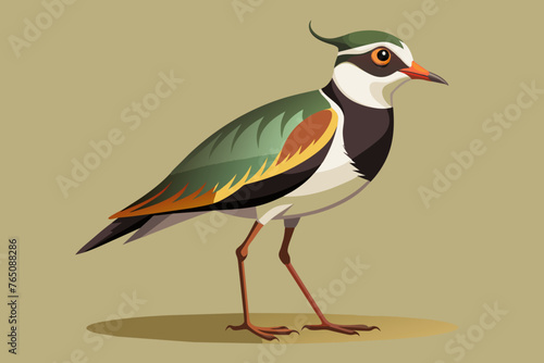 draw a lapwing bird vector illustration 