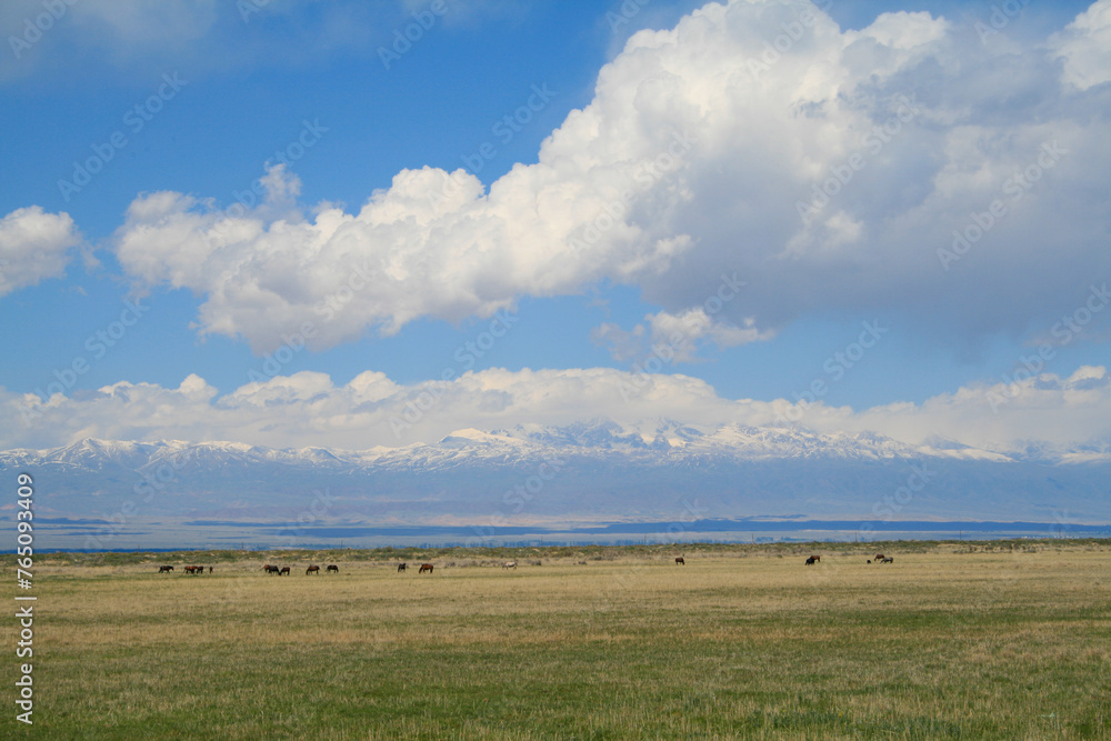 Issyk-Kul and Tian Shan Mountains, Kyrgyzstan