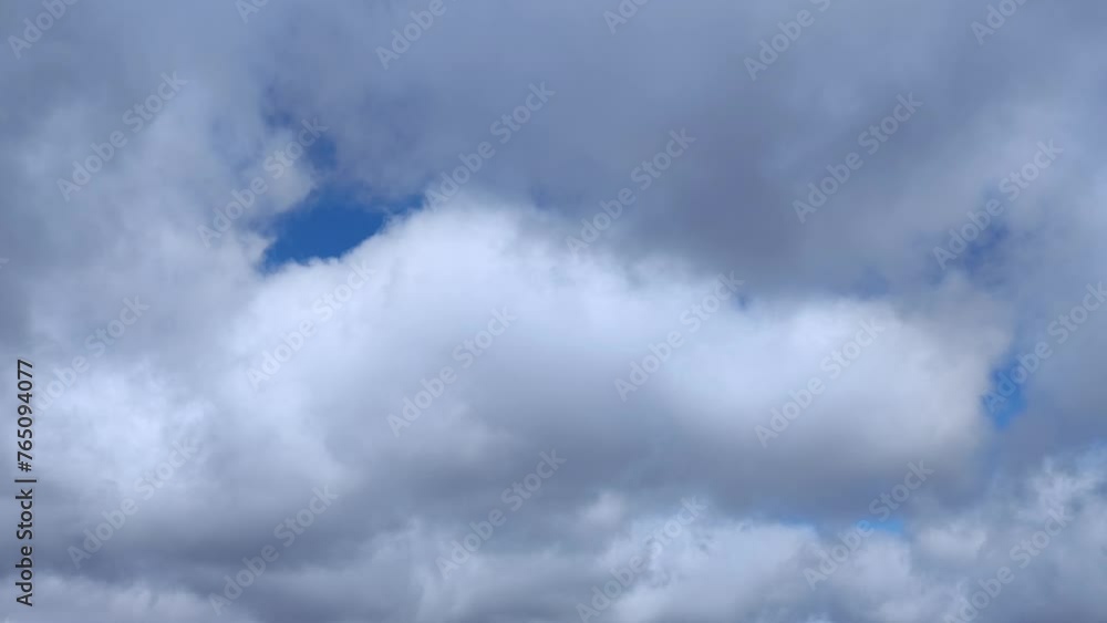 Birds fly through the sky with bright cumulus Birds fly through the sky with bright cumulus