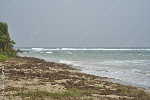 Coast of St Croix US Virgin Islands