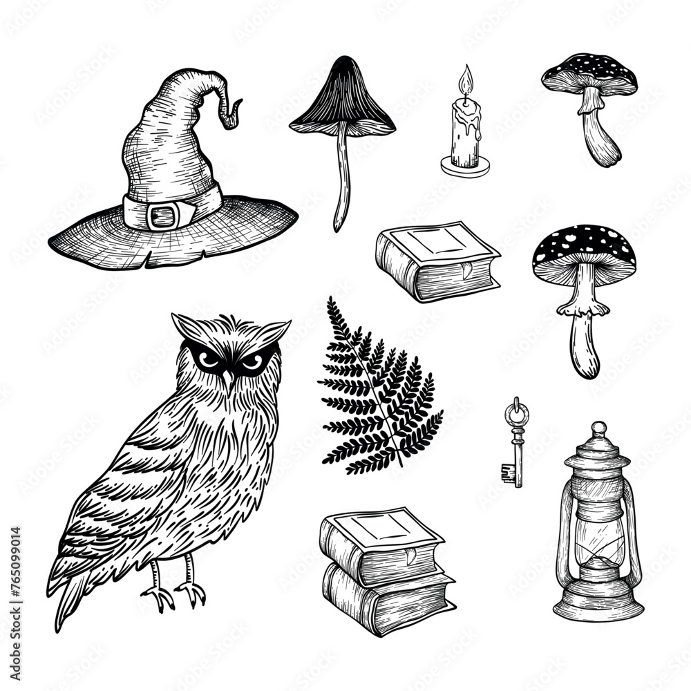 Fototapeta premium Vector sketch illustration with magical elements for design. Hat, owl, books, mushrooms, fern, owl.