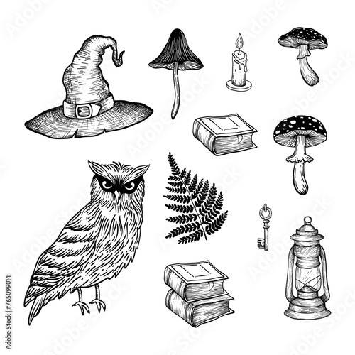 
Vector sketch illustration with magical elements for design. Hat, owl, books, mushrooms, fern, owl.