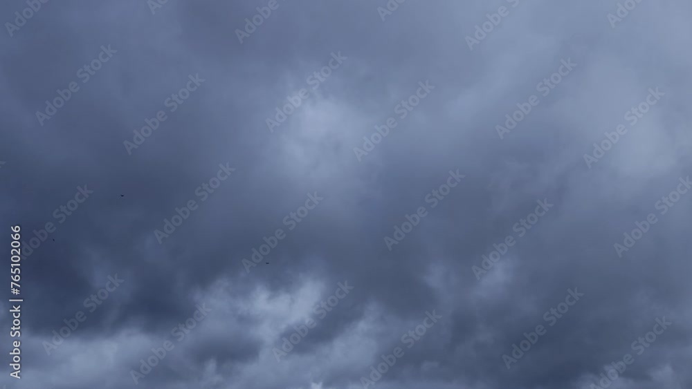 Dark landscape with some light in which birds fly Dark landscape with some light in which birds fly