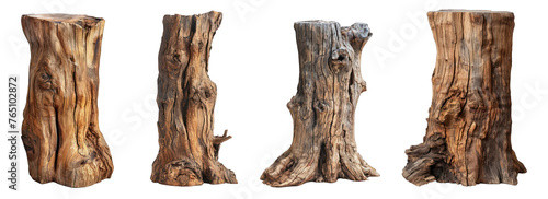 Tree stumps, isolated on transparent or white background