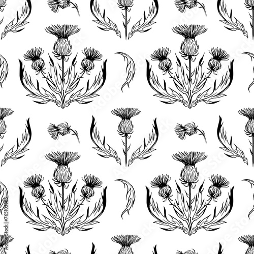 Thistle illustration. Seamless pattern, realistic hand drawn vector sketches