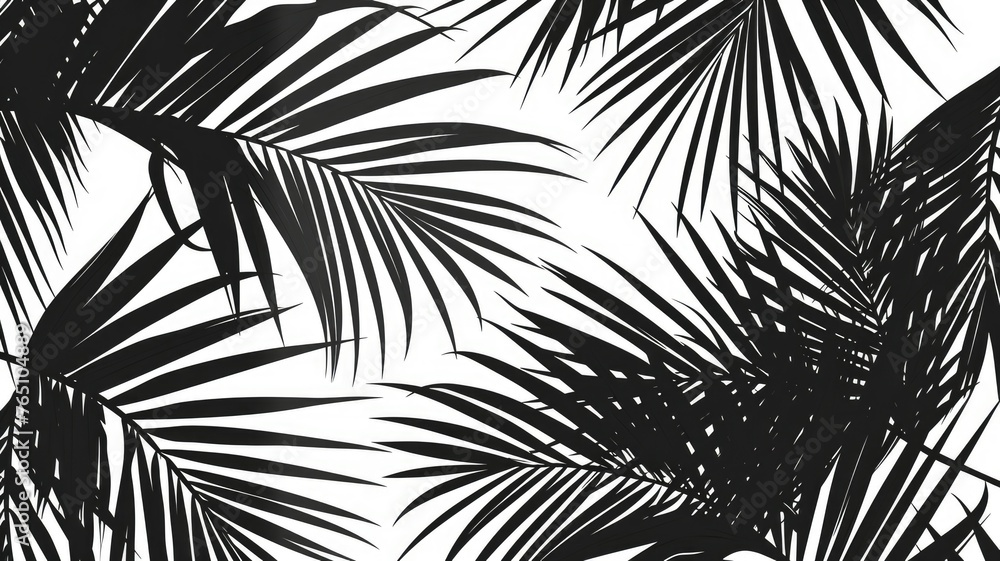 Black and white tropical palm leaves pattern - Black and white contrast ...
