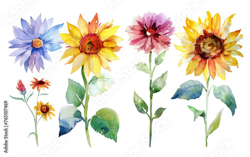 Set water color flower pack watercolor sun flower on white background,png
