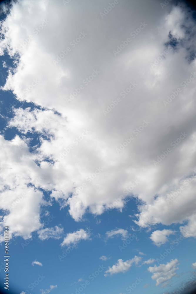 Obraz premium 3月の風