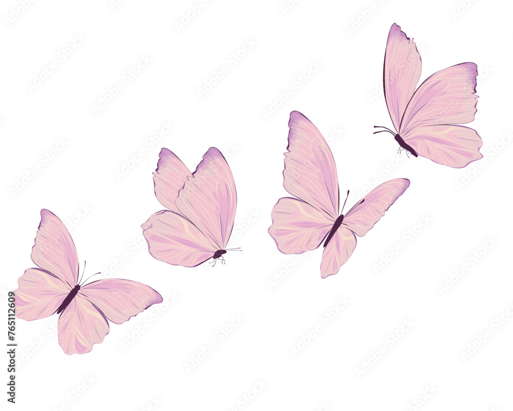 pink butterfly hand drawn design pink butterfly hand drawn design