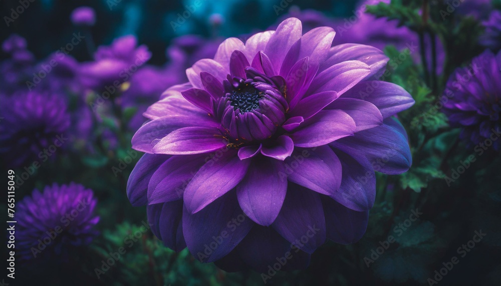 A close-up view of a vibrant purple flower standing out against a lush purple background, creating a visually striking contrast A close-up view of a vibrant purple flower standing out against a lush purple background, creating a visually striking contrast