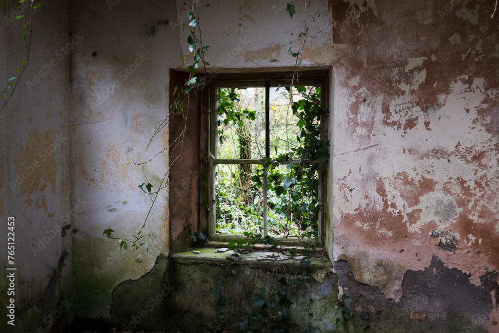 Window in an old abandoned building Window in an old abandoned building