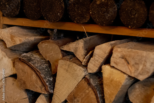 Mouse hiding in firewood