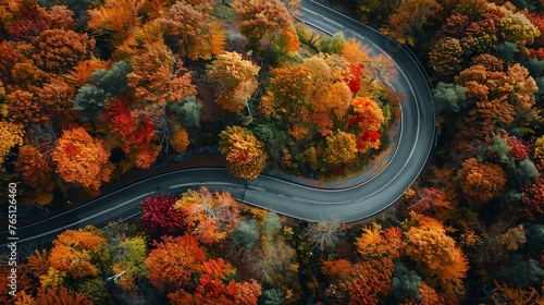 An aerial view of a winding road through a colorful autumn forest. © stocker