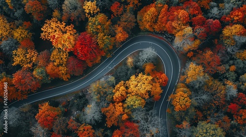 An aerial view of a road winding through a colorful autumn forest. © stocker