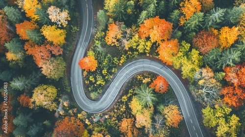 An aerial view of a road winding through a colorful autumn forest. © stocker