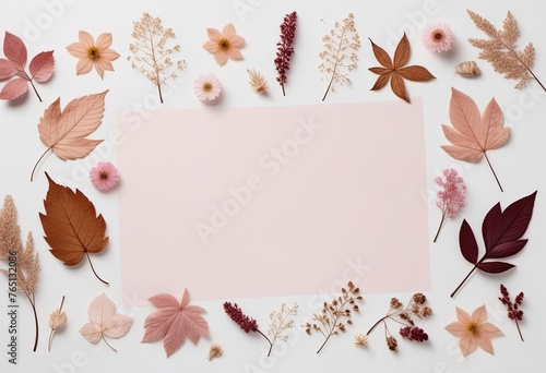 herbarium flat lay. dried plants leaves and flowers frame isolated on white background with copy space center with pastel pink paper sheet 