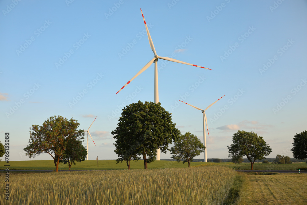 Renewable energy windmills on the field
wiatraki na tle polskiego pola  - obrazy, fototapety, plakaty 