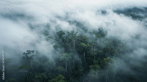 Mystical Fog Enveloping Dense Forest