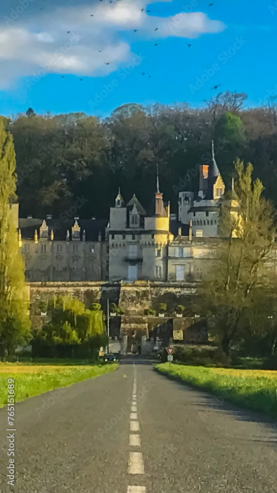 Obraz premium Castillos, Palacios y Jardines del valle de loira jardin de francia