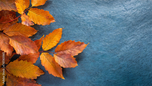 Autumn background with bright colored orange leaves on the left side, on blue slate surface.