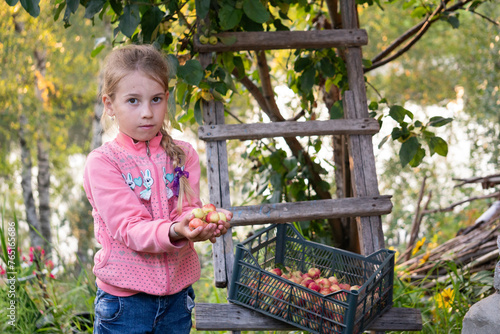 little blonde girl in a red jacket holding apples in her hands on the street photo