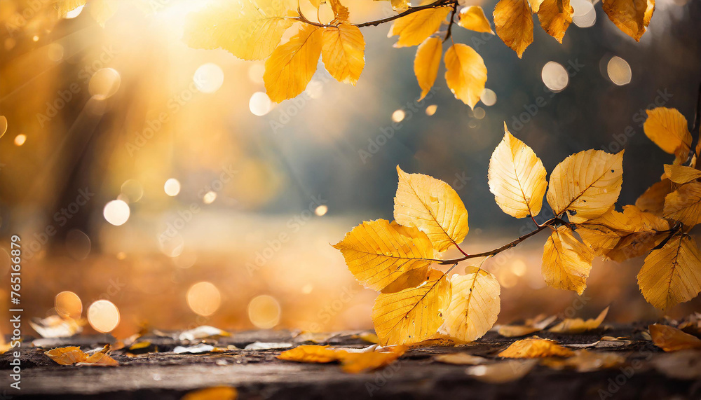 Autumn abstract background with bright yellow leaves and sunshine, bokeh and glow on backdrop.