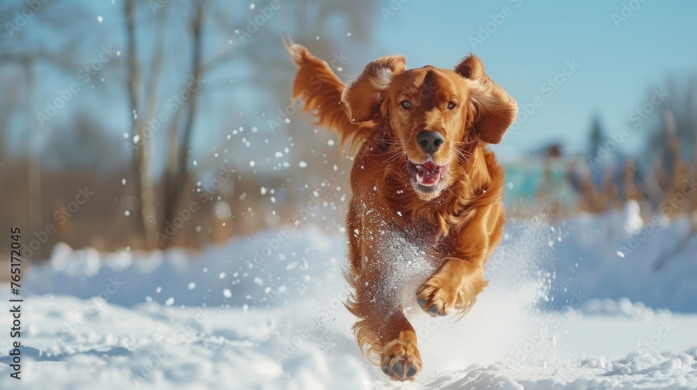 A dog running in the snow, perfect for winter-themed designs