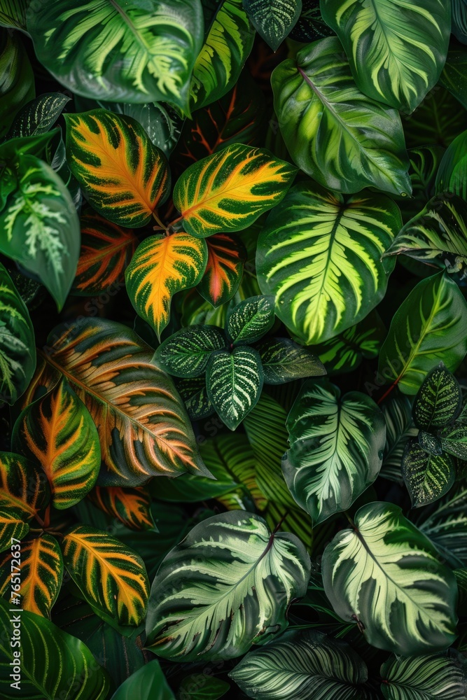 Fototapeta premium Detailed view of a cluster of leaves, ideal for nature backgrounds