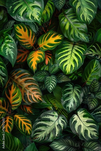 Detailed view of a cluster of leaves  ideal for nature backgrounds