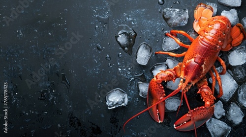 lobster lying on ice and on a black or dark background