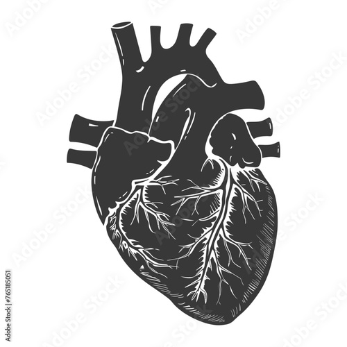 Silhouette for internal organs of heart black color only