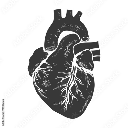 Silhouette for internal organs of heart black color only