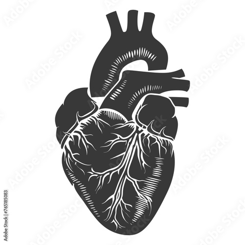 Silhouette for internal organs of heart black color only
