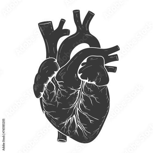 Silhouette for internal organs of heart black color only