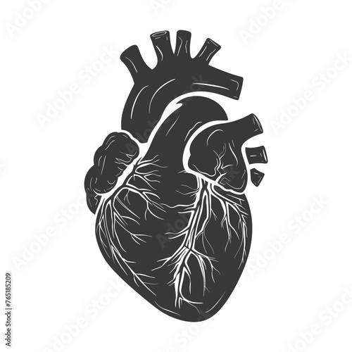 Silhouette for internal organs of heart black color only