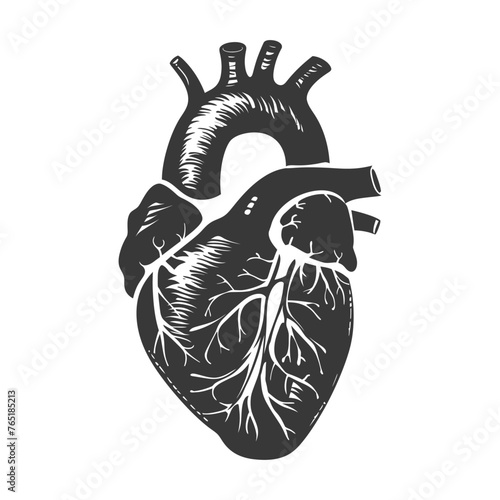 Silhouette for internal organs of heart black color only