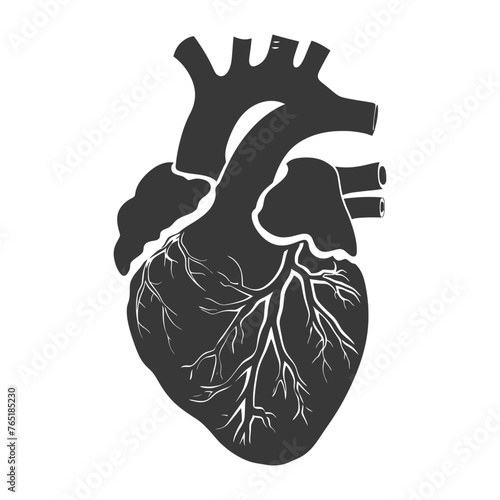Silhouette for internal organs of heart black color only