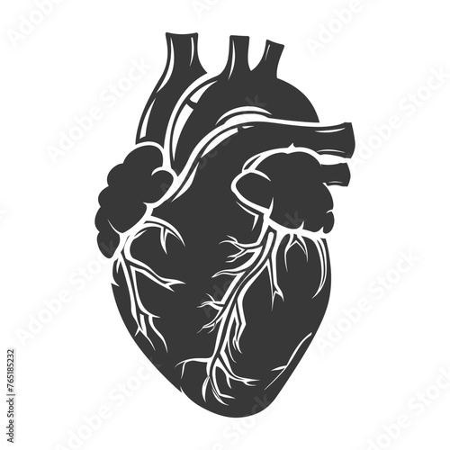 Silhouette for internal organs of heart black color only