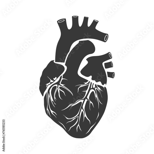 Silhouette for internal organs of heart black color only