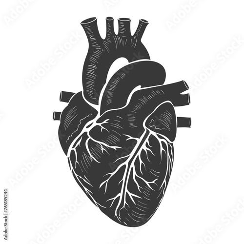 Silhouette for internal organs of heart black color only