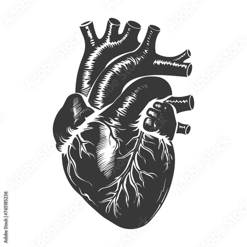 Silhouette for internal organs of heart black color only
