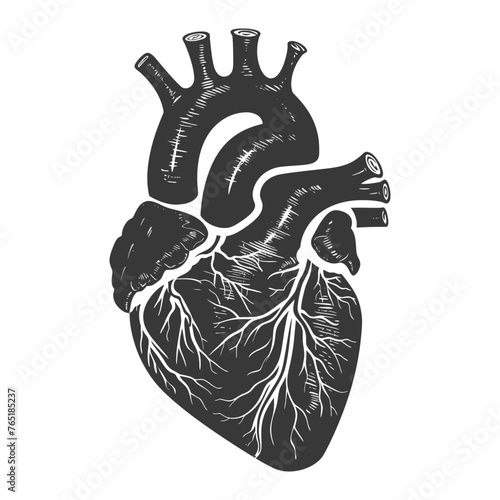 Silhouette for internal organs of heart black color only