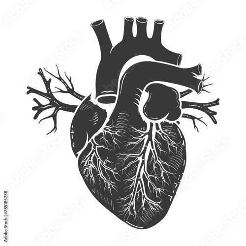 Silhouette for internal organs of heart black color only
