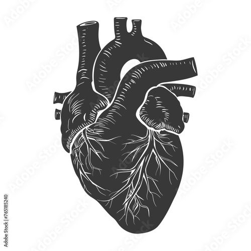 Silhouette for internal organs of heart black color only