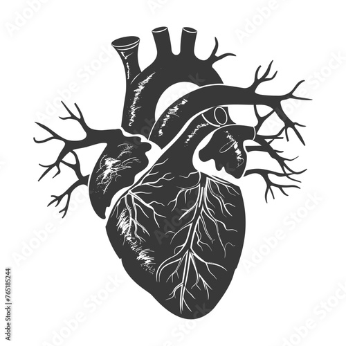 Silhouette for internal organs of heart black color only