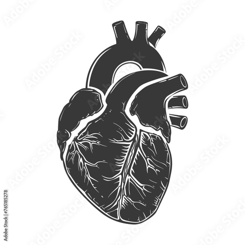 Silhouette for internal organs of heart black color only