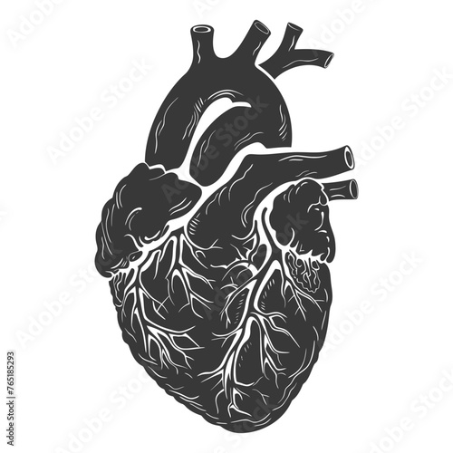 Silhouette for internal organs of heart black color only